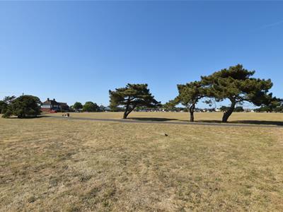 Picture 27